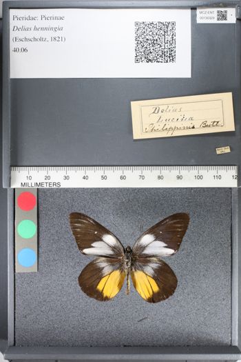 Media type: image;   Entomology 130329